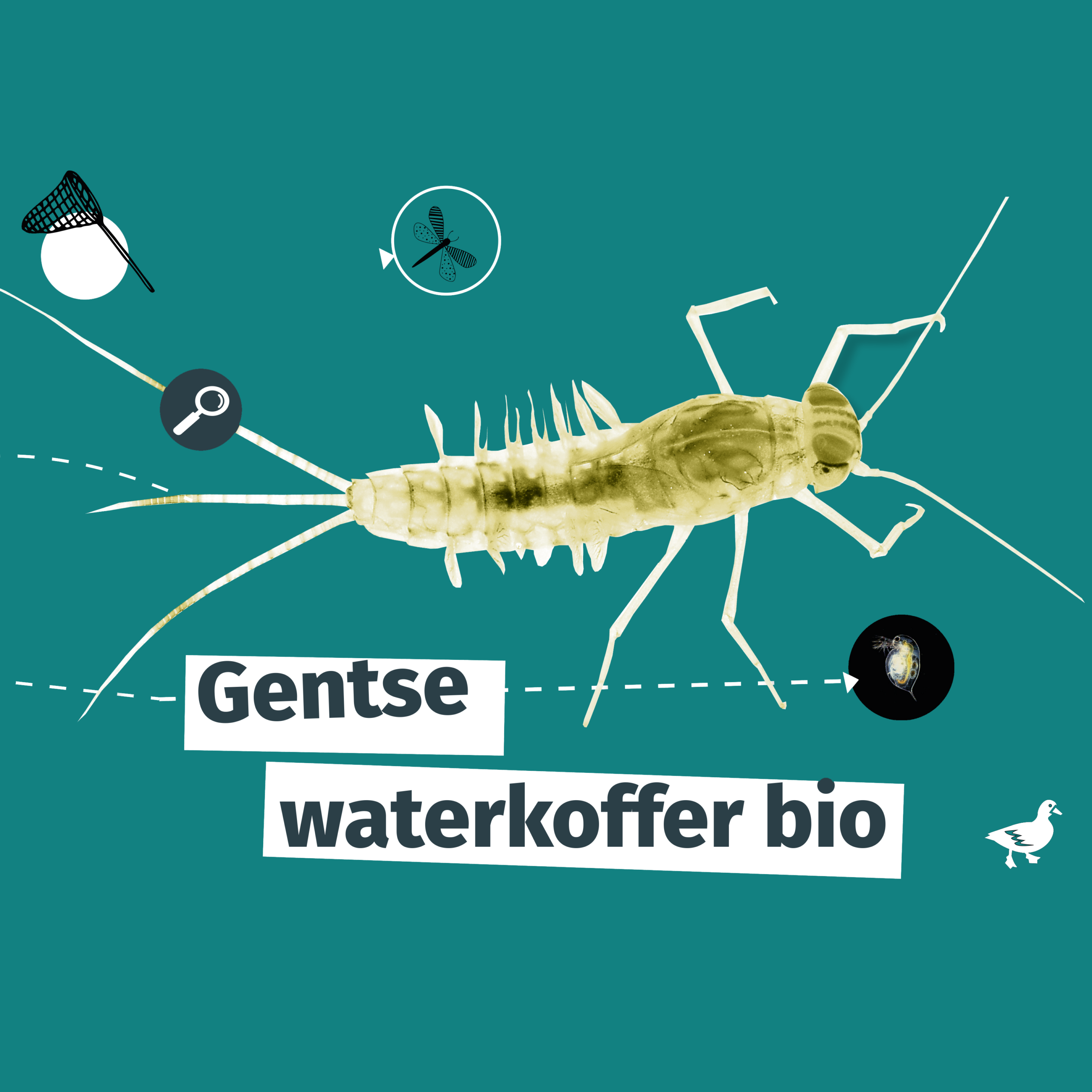 De Gentse waterkoffer bio